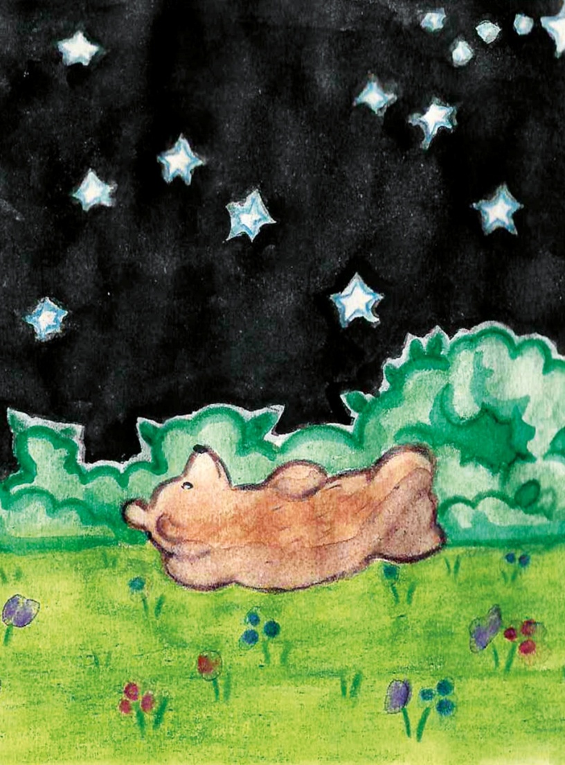 Книгаго: Где медведи на небе?. Иллюстрация № 7