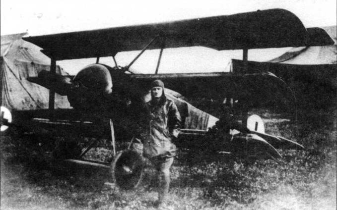 Книгаго: Боевое применение трипланов Fokker Dr I в Первой Мировой войне. Иллюстрация № 1
