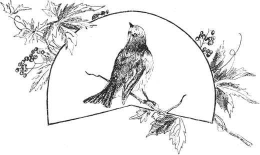 Книгаго: Баба-Яга (1908. Совр. орф). Иллюстрация № 17
