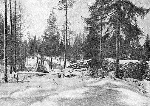 Книгаго: Бесстрашные саперы на финском фронте. Иллюстрация № 3