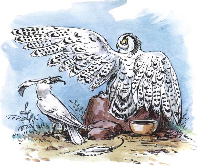 Книгаго: О честном вороне, коварной сове и глупом лисе (Эскимосские сказки). Иллюстрация № 6