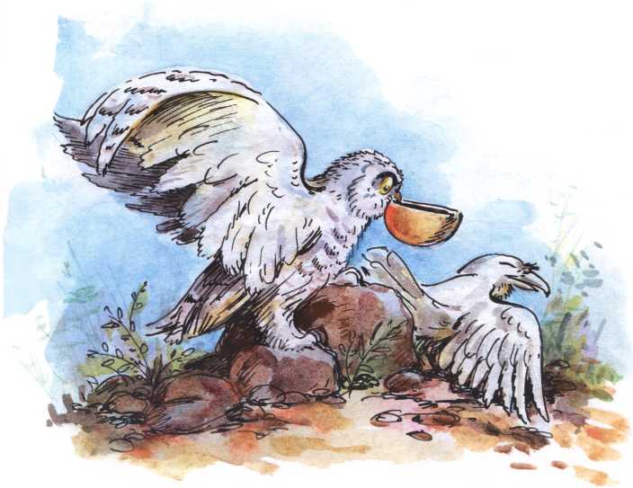 Книгаго: О честном вороне, коварной сове и глупом лисе (Эскимосские сказки). Иллюстрация № 7