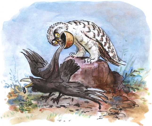 Книгаго: О честном вороне, коварной сове и глупом лисе (Эскимосские сказки). Иллюстрация № 8