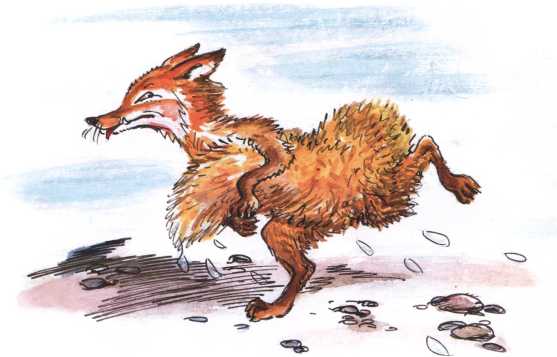 Книгаго: О честном вороне, коварной сове и глупом лисе (Эскимосские сказки). Иллюстрация № 17