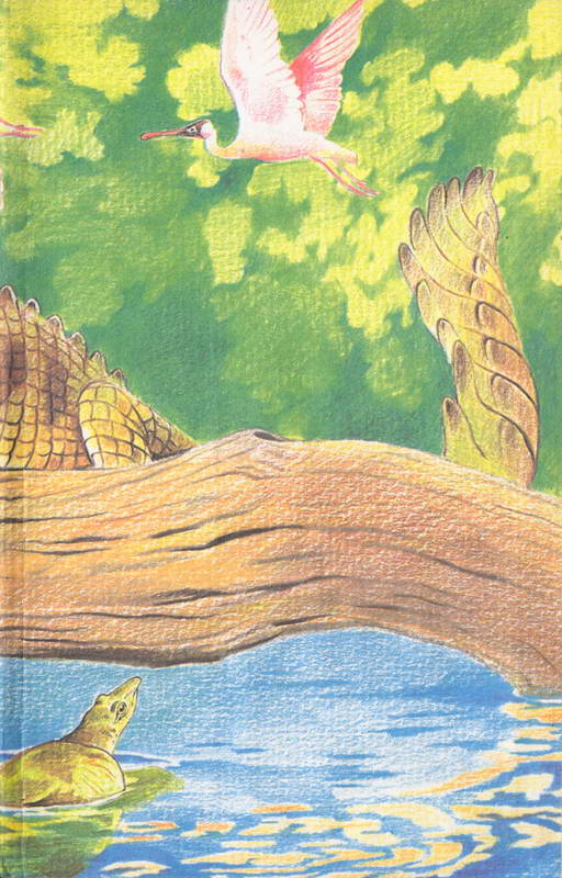 Книгаго: Сокровища животного мира. Иллюстрация № 90