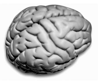 Книгаго: Мозг напрокат. Как работает человеческое мышление и как создать душу для компьютера. Иллюстрация № 1