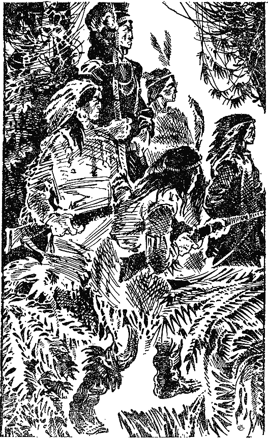 Книгаго: Оцеола, вождь семинолов. Иллюстрация № 4