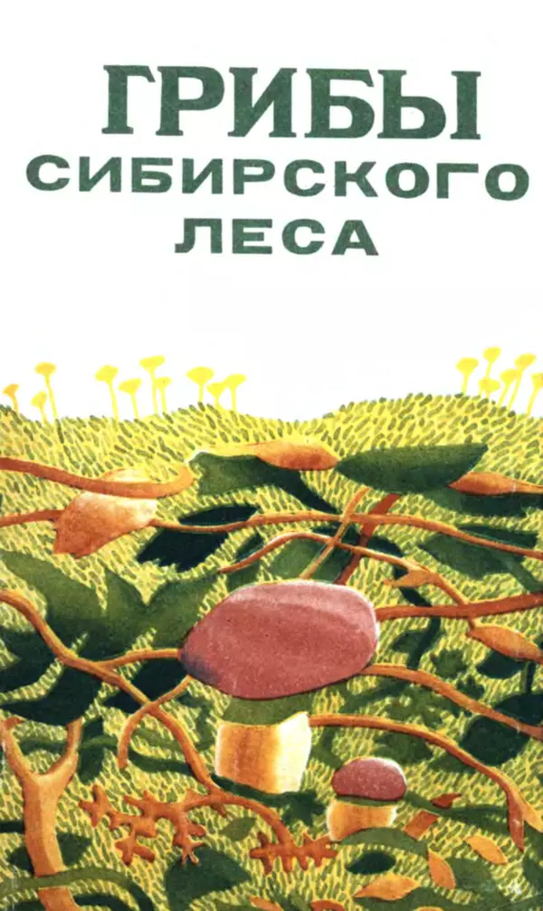 Книгаго: Грибы сибирского леса. Иллюстрация № 1